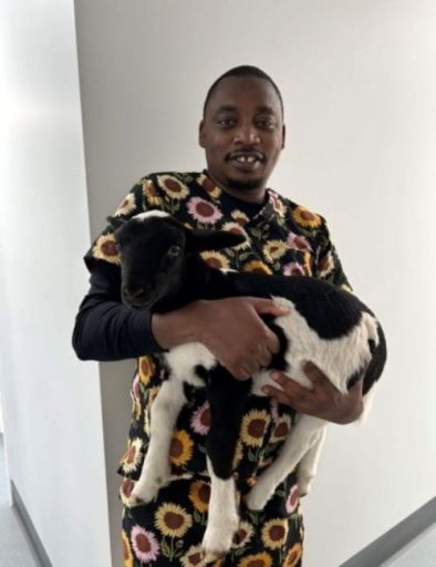 alex chako veterinarian