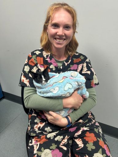 Caitlin Trickey Registered Vet Nurse
