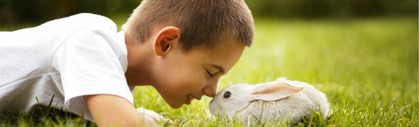 little-boy-with-pet-rabbit