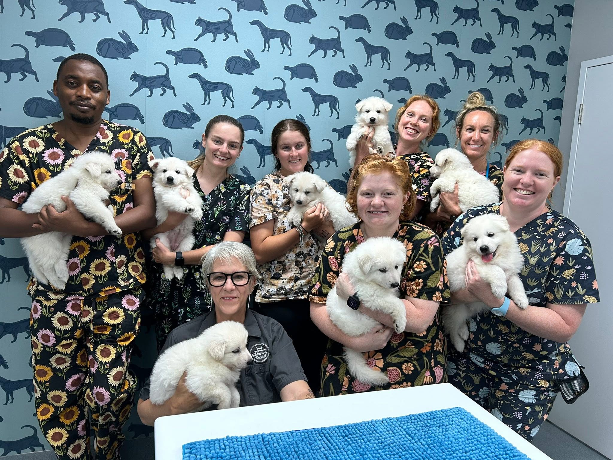 new england vet services team
