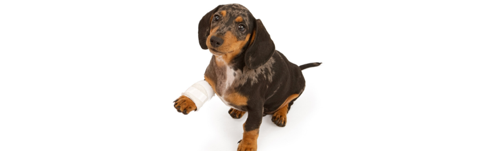 Orthopaedic Surgery